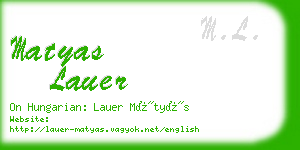 matyas lauer business card